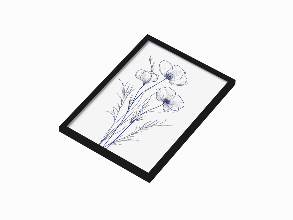 frame showcas2eout